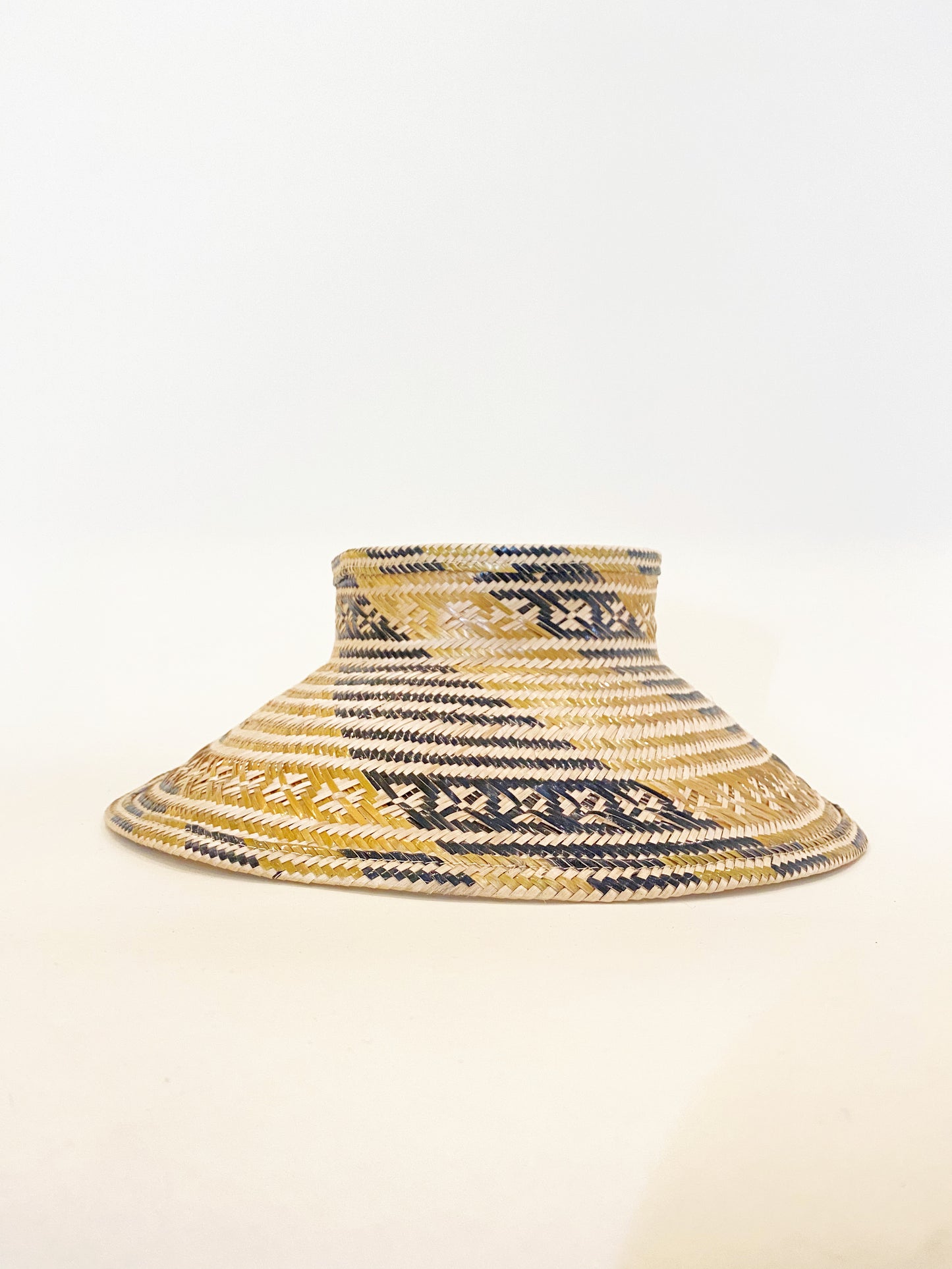 Black & Gold Visor