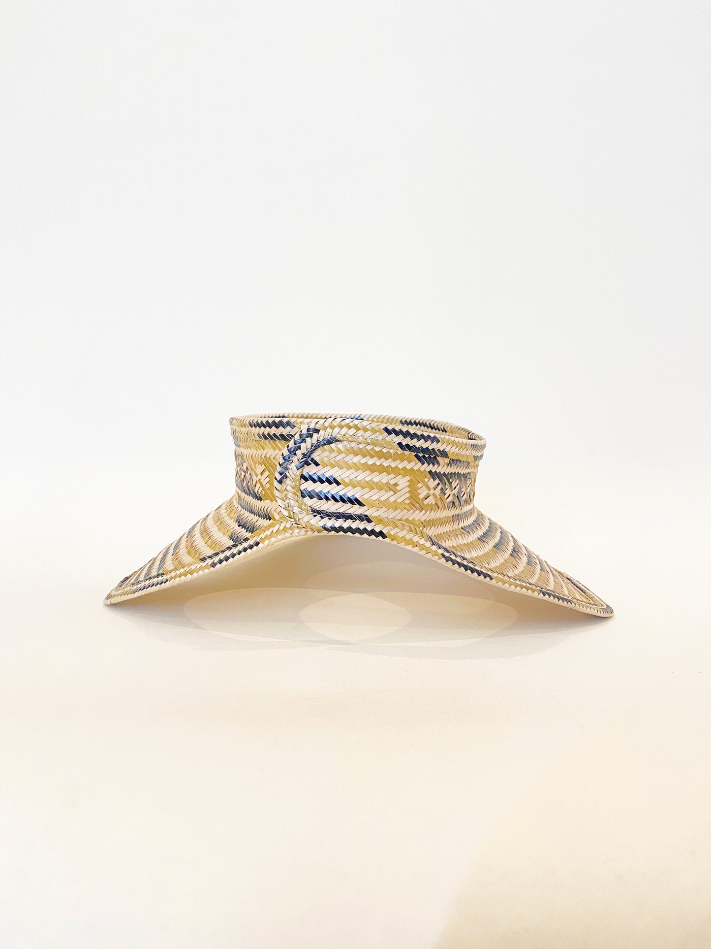 Black & Gold Visor