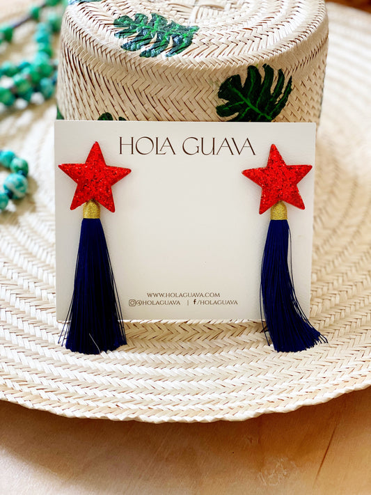 Star Earrings